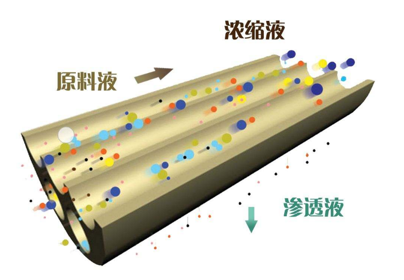 纳滤膜技术是如何对木糖进行脱色处理的？