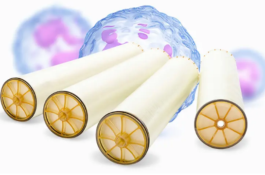 纳滤膜.png